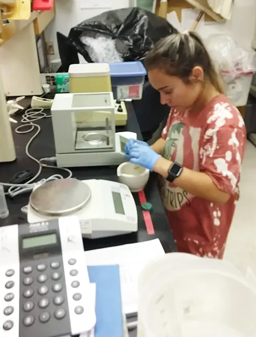 A student working on in-class research.