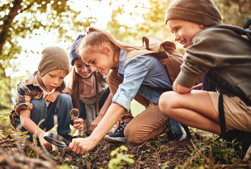 Four children use magnifying glasses to look at something on the ground under the trees.